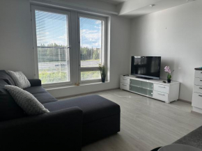 Bright and Cozy Studio apartment, Rovaniemi